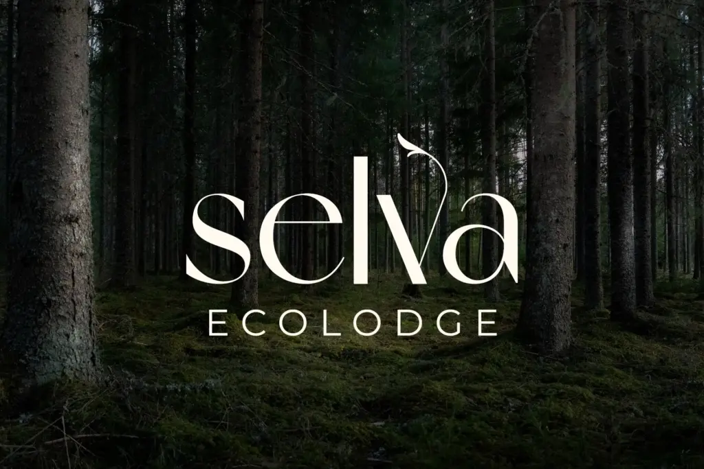 Creation logo ecolodge Alsace