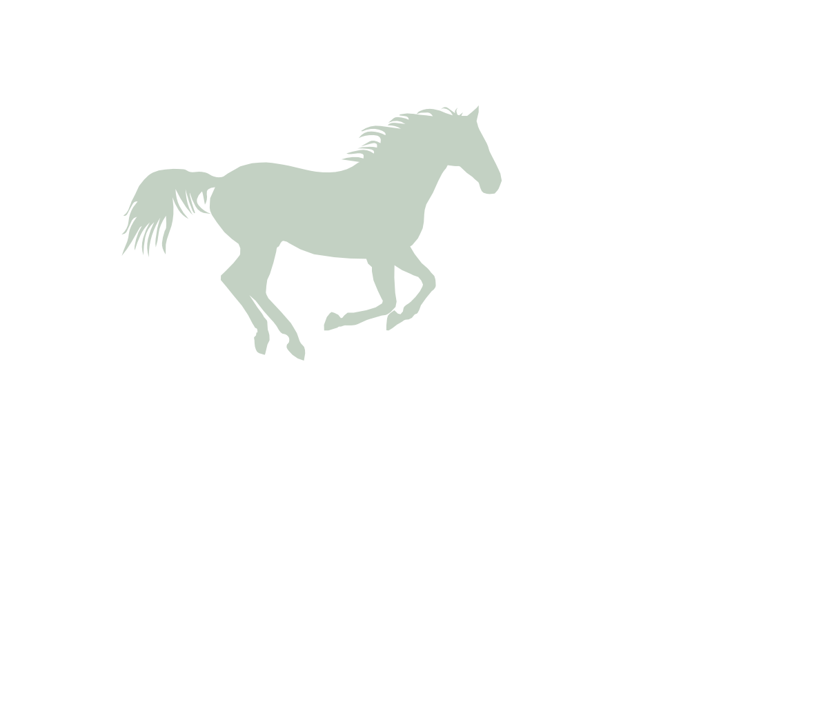 Création logo pension pour chevaux